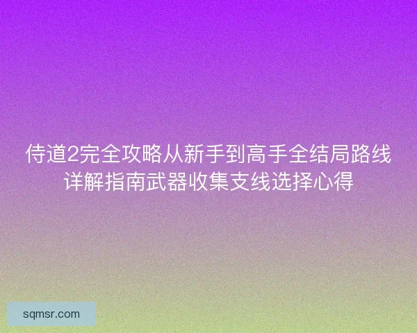 侍道2完全攻略从新手到高手全结局路线详解指南武器收集支线选择心得 侍道2完全攻略从新手到高手全结局路线详解指南武器收集支线选择心得