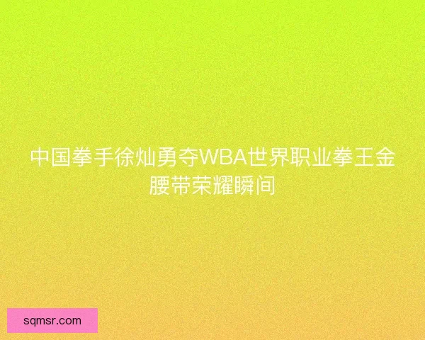 中国拳手徐灿勇夺WBA世界职业拳王金腰带荣耀瞬间