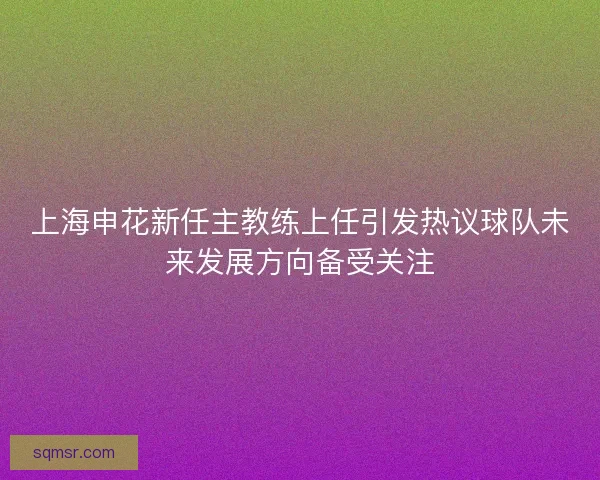 上海申花新任主教练上任引发热议球队未来发展方向备受关注 上海申花新任主教练上任引发热议球队未来发展方向备受关注